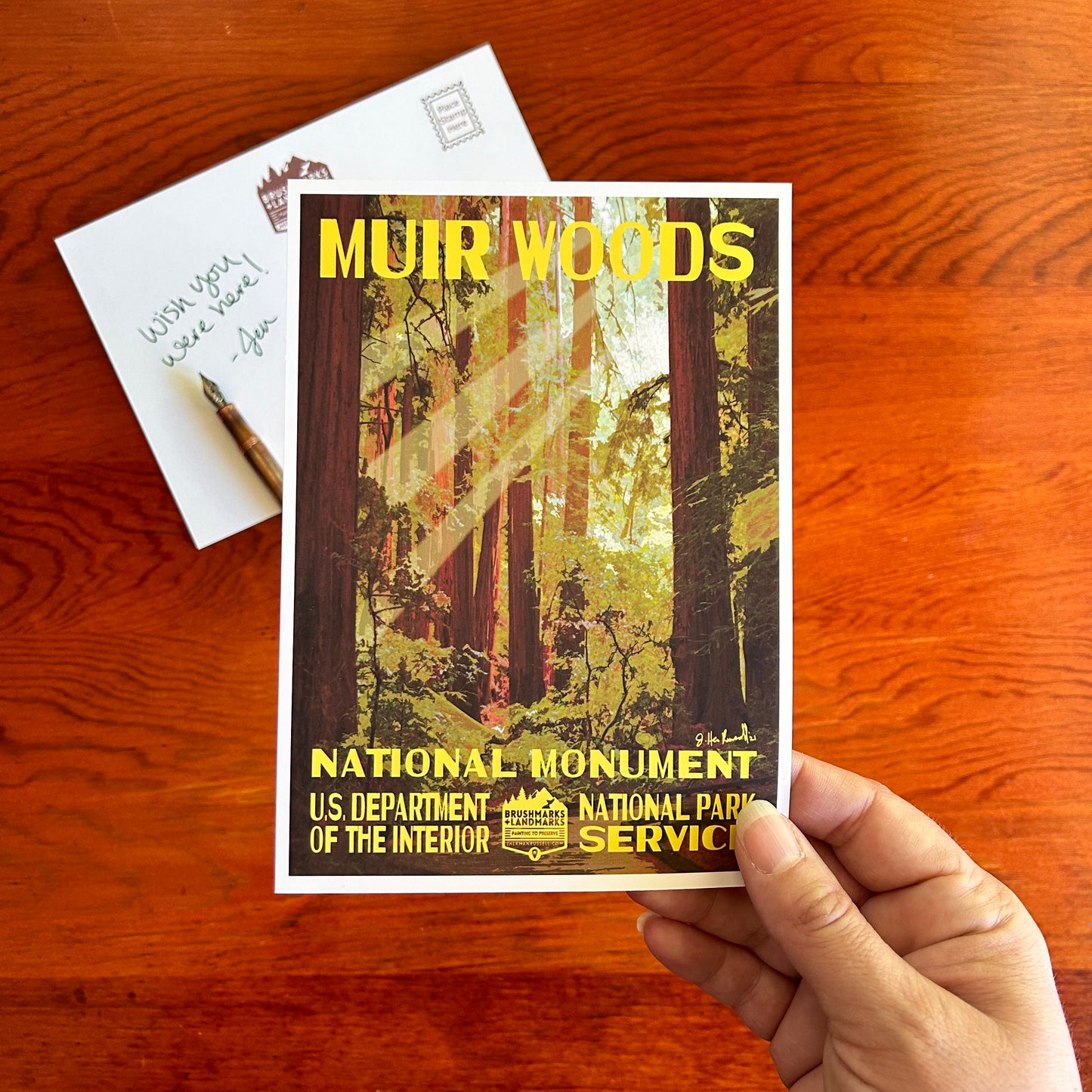 Muir Woods Postcard