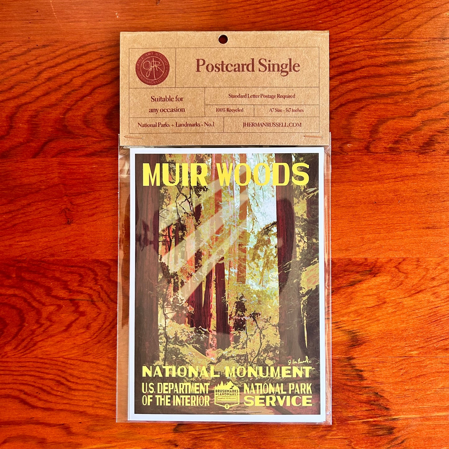 Muir Woods Postcard